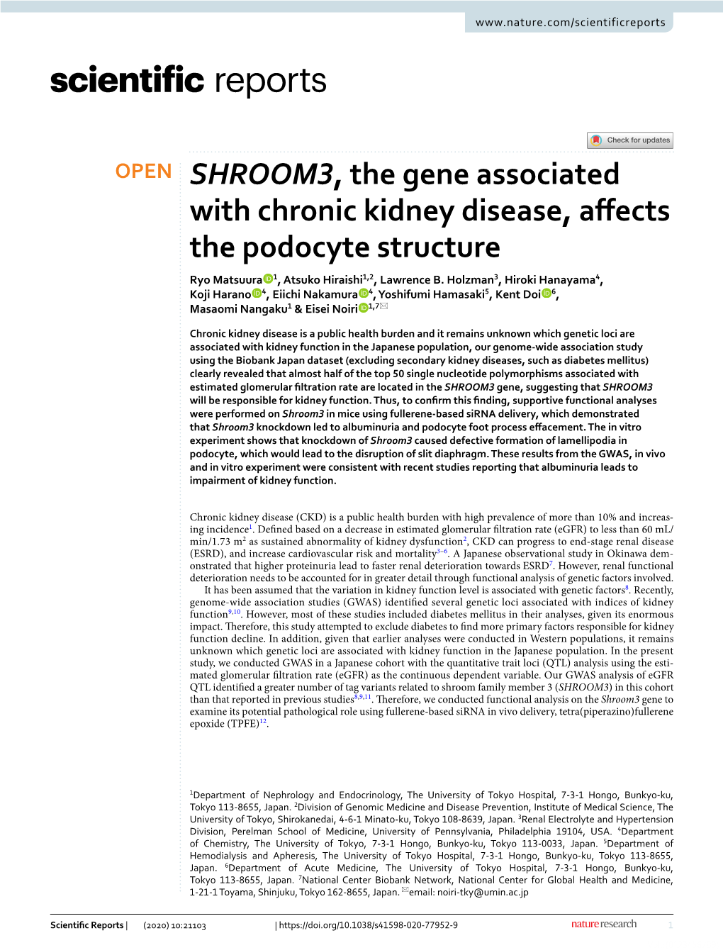 SHROOM3, the Gene Associated with Chronic Kidney Disease, Affects The