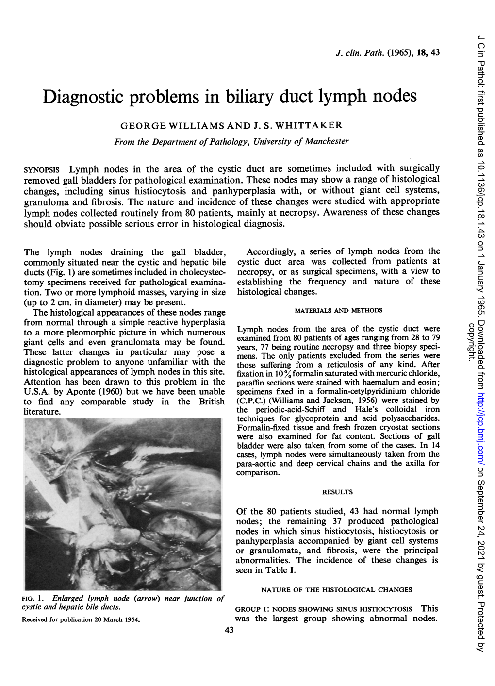 Diagnostic Problems in Biliary Duct Lymph Nodes