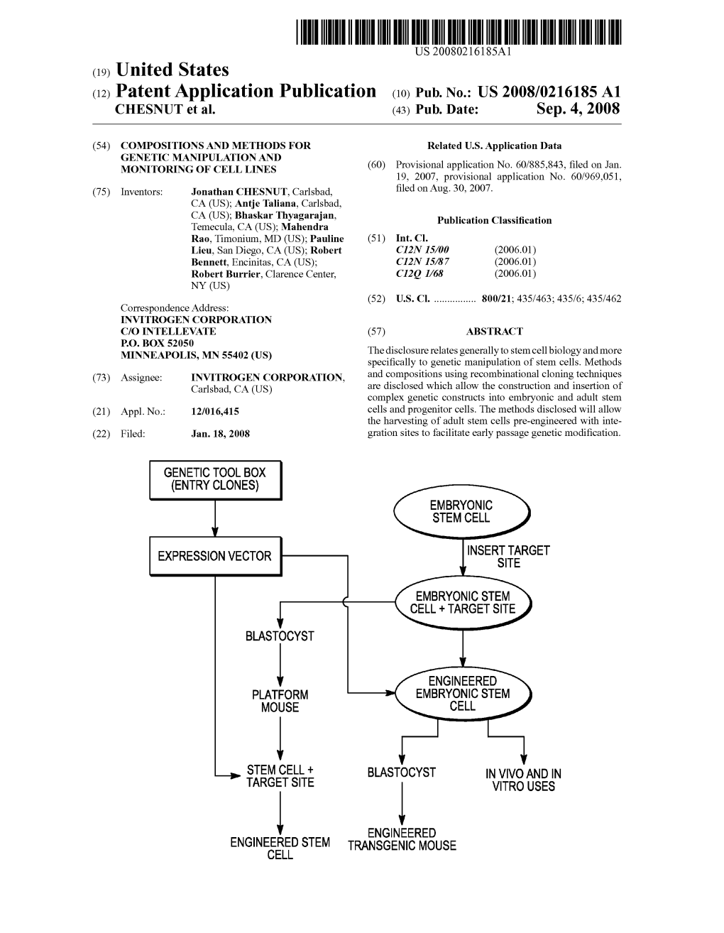 (12) Patent Application Publication (10) Pub. No.: US 2008/0216185 A1 CHESNUT Et Al