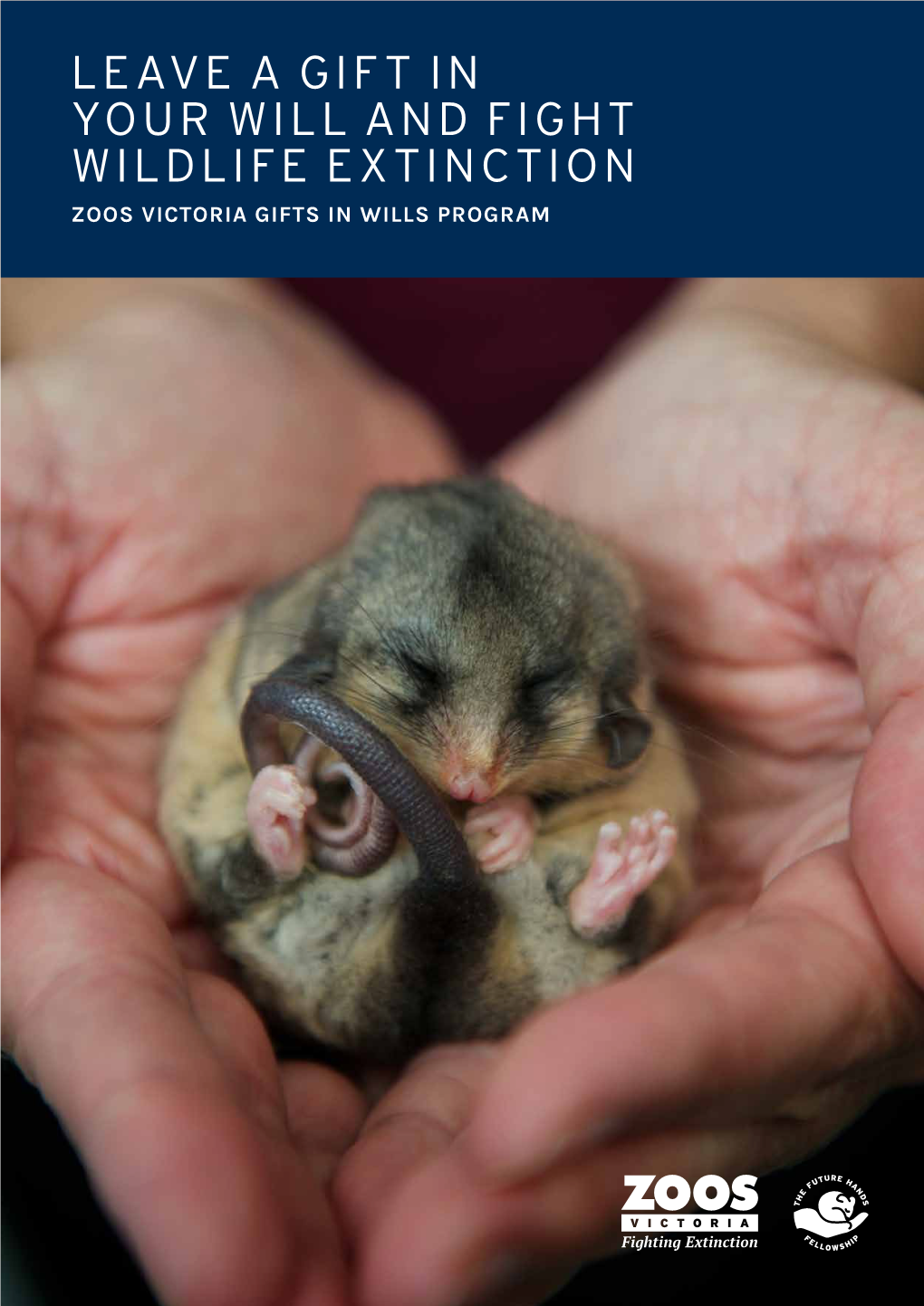 Leave a Gift in Your Will and Fight Wildlife Extinction Zoos Victoria Gifts in Wills Program