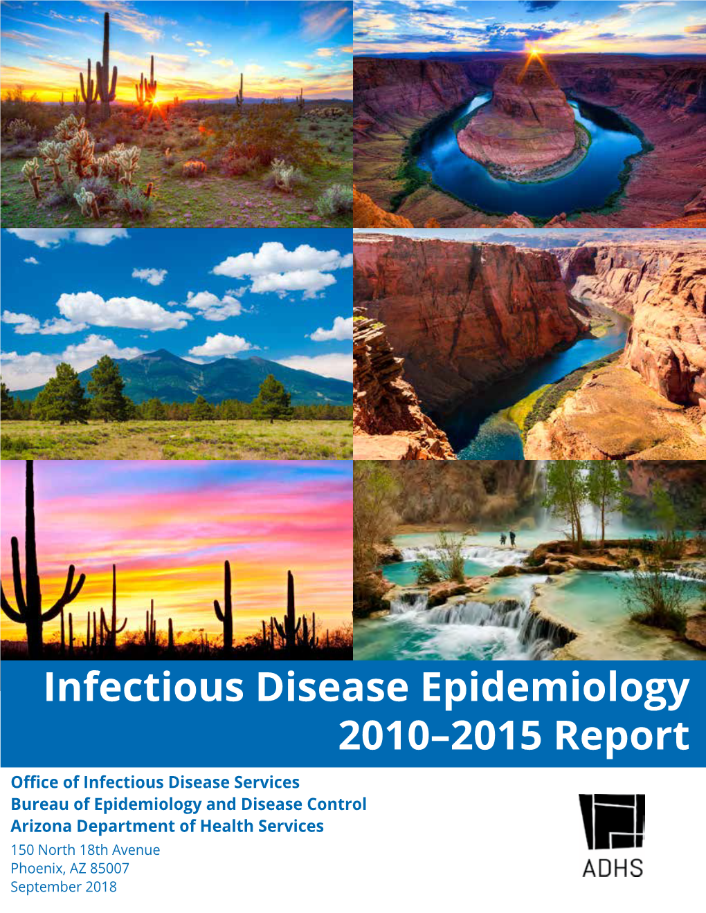 Infectious Disease Epidemiology 2010–2015 Report