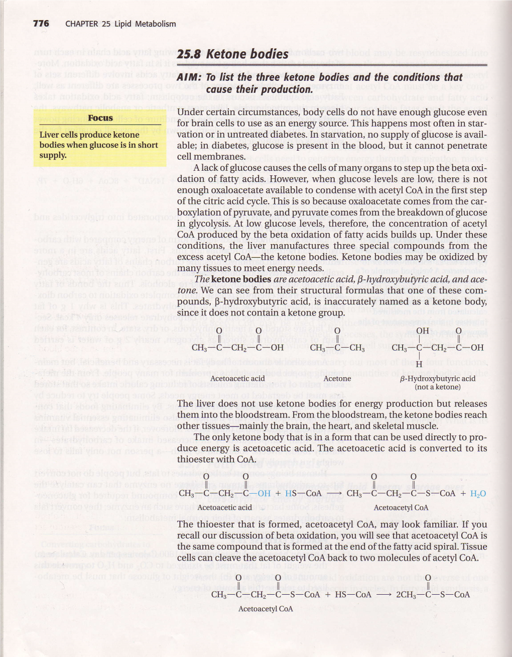 25,8 Ketone Bodies