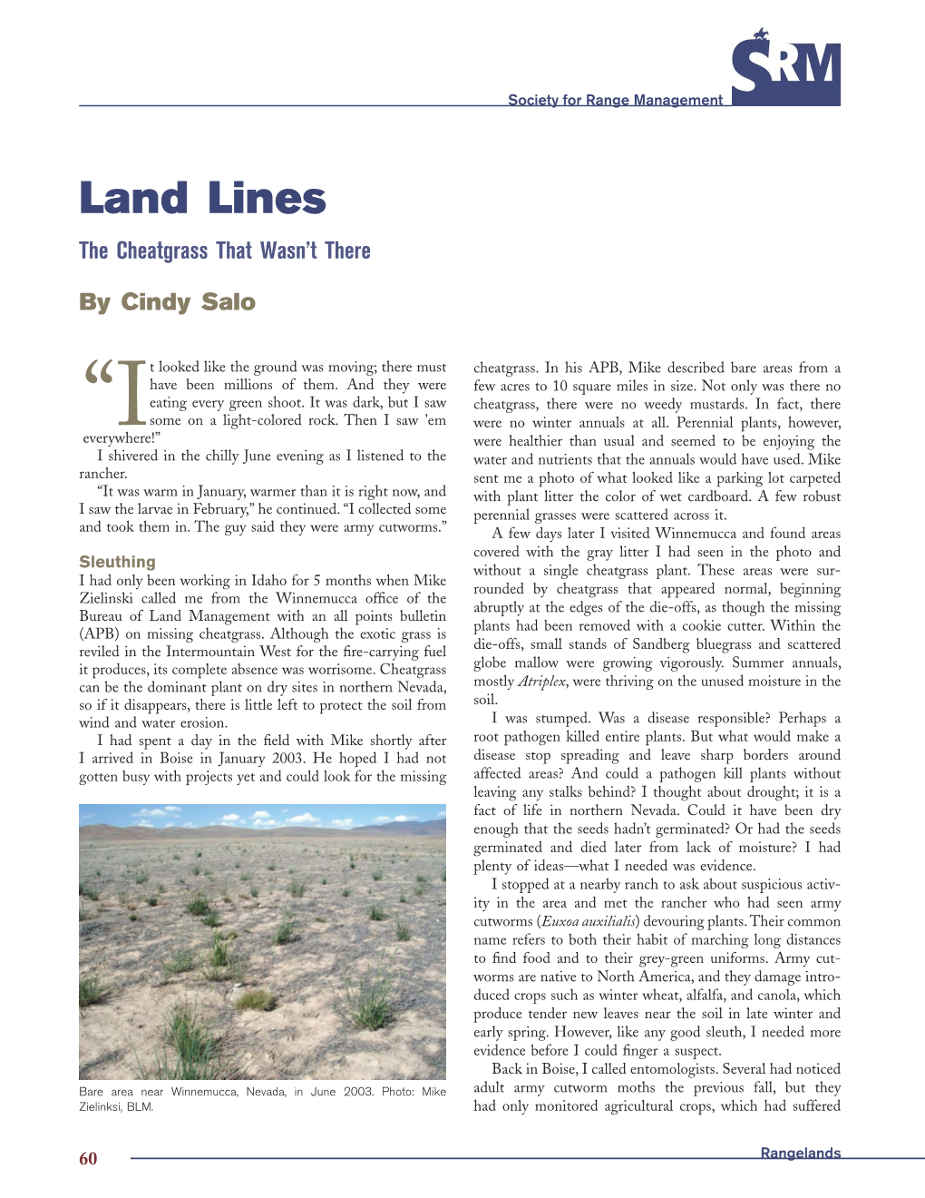 Land Lines the Cheatgrass That Wasn’T There