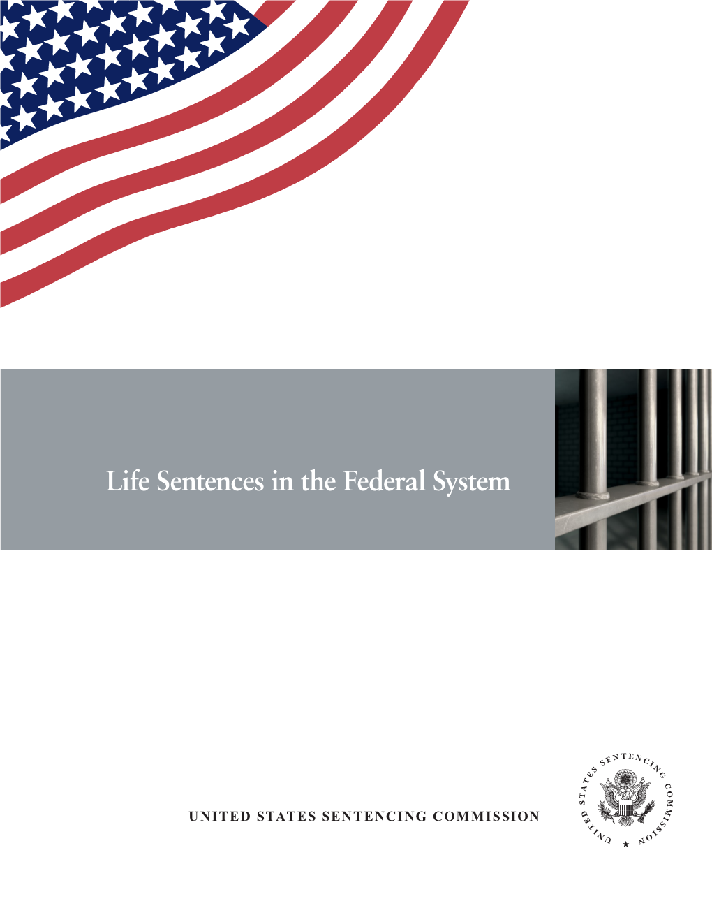 Life Sentences in the Federal System