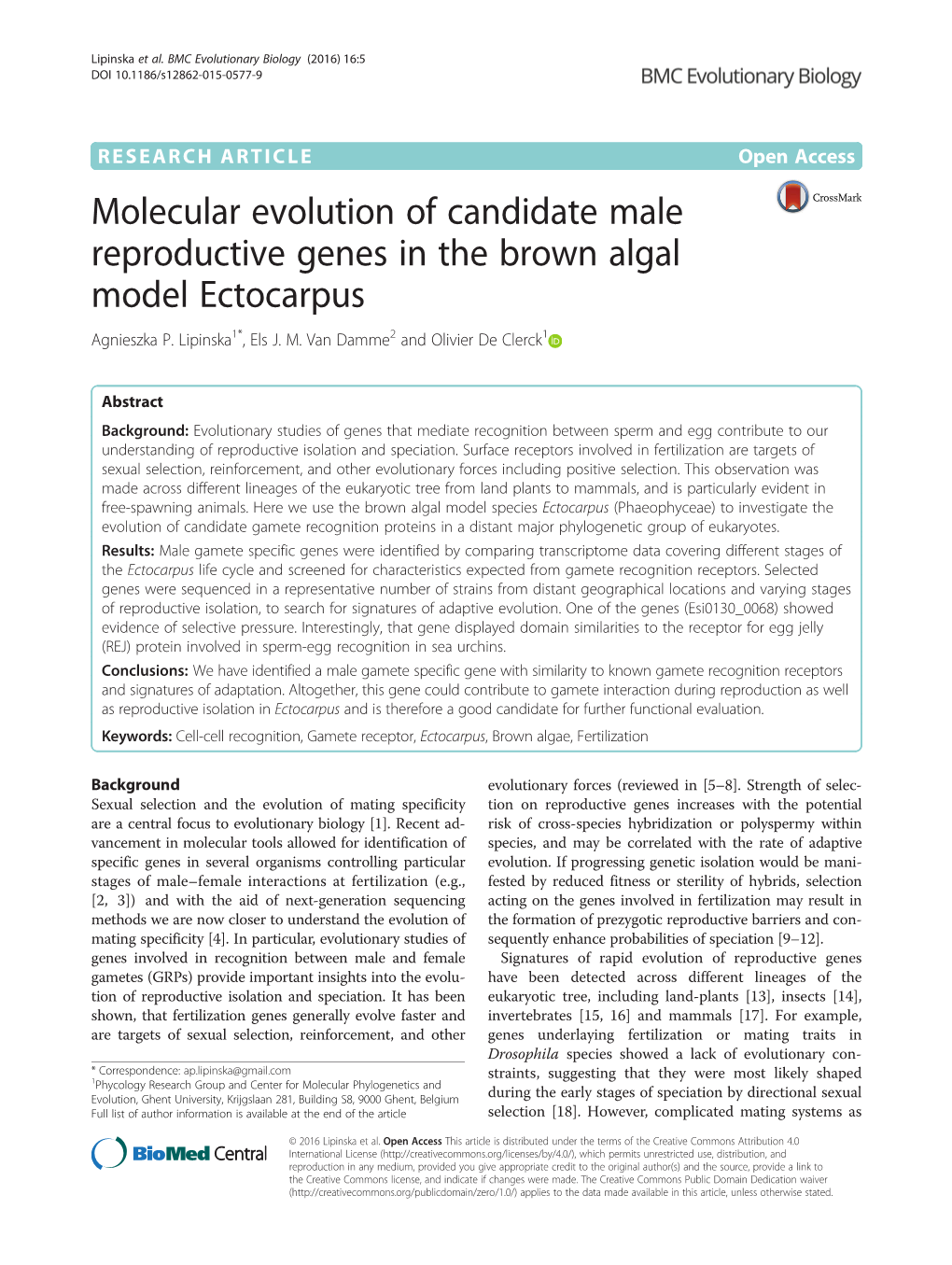 Molecular Evolution of Candidate Male Reproductive Genes in the Brown Algal Model Ectocarpus Agnieszka P