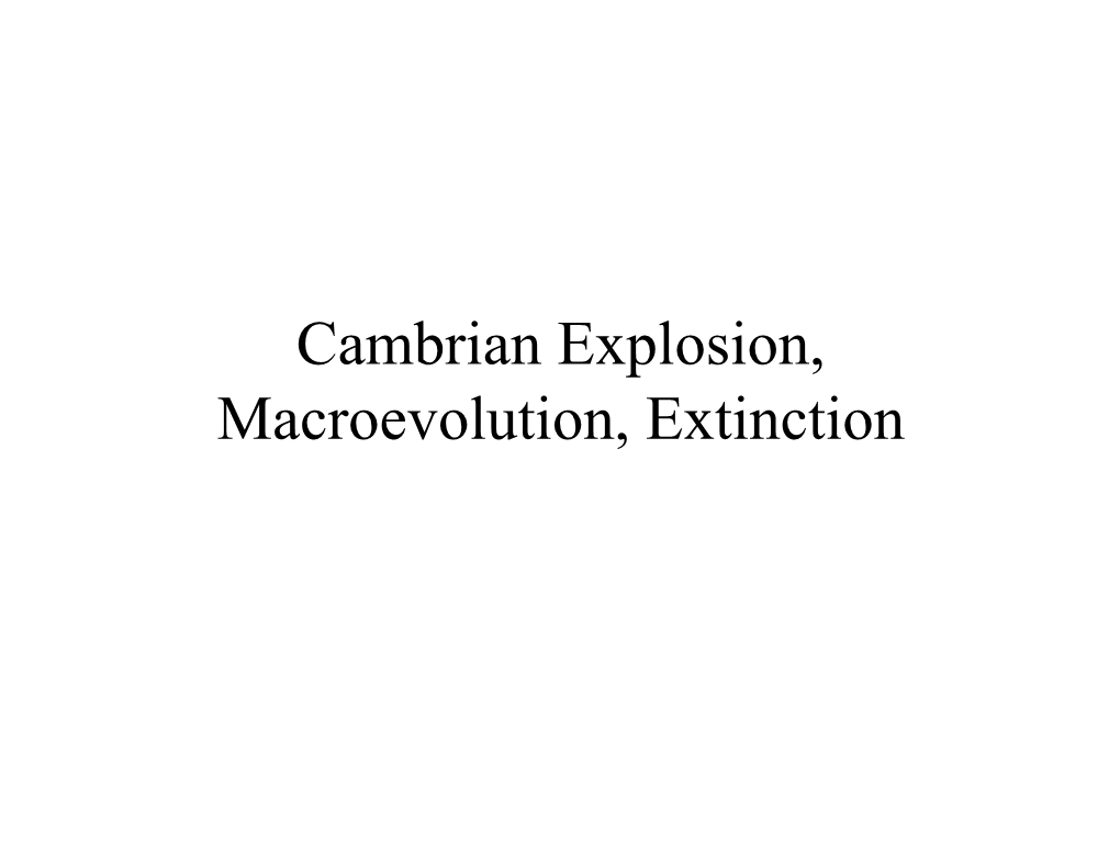 Cambrian Explosion, Macroevolution, Extinction Recap