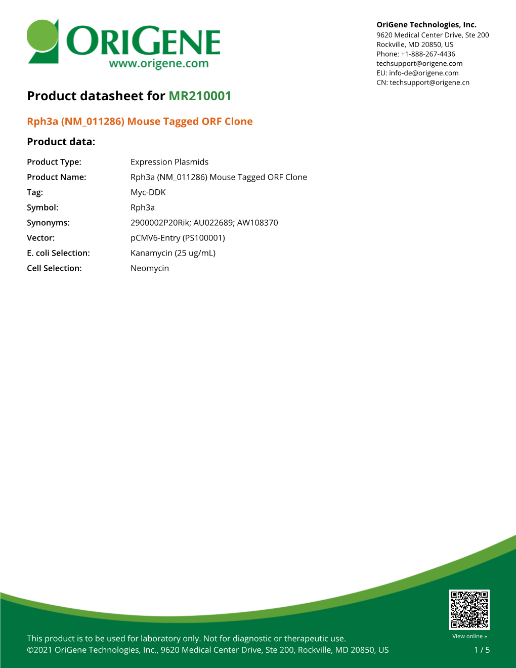 Rph3a (NM 011286) Mouse Tagged ORF Clone – MR210001 | Origene