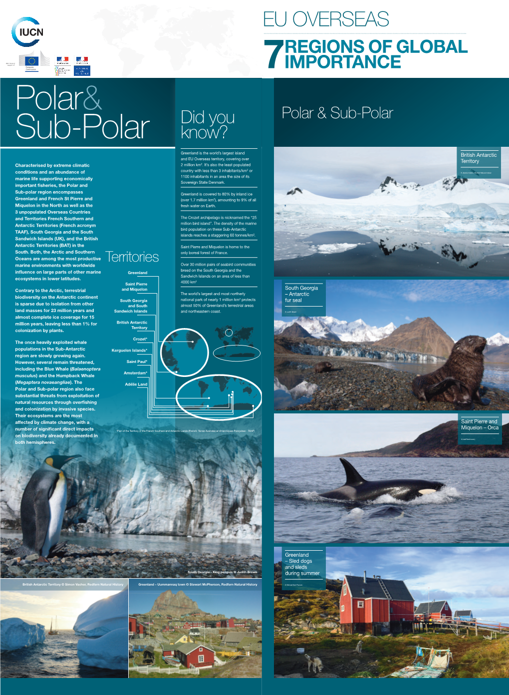 British Antarctic Territory South Georgia – Antarctic Fur Seal Greenland – Sled Dogs and Sleds During Summer Saint Pierre An