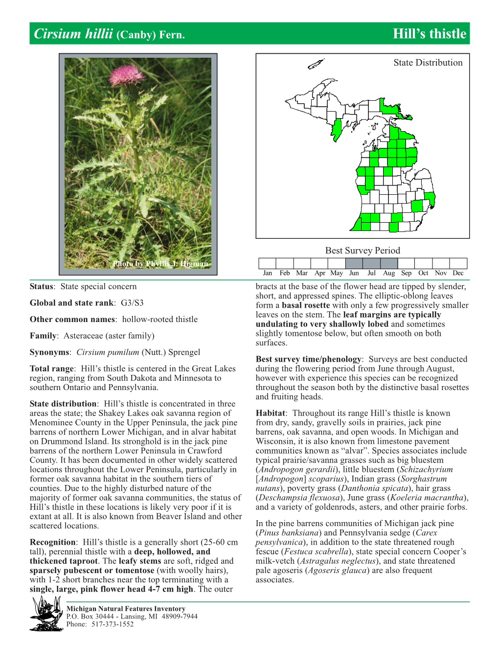 Cirsium Hillii (Canby) Fern