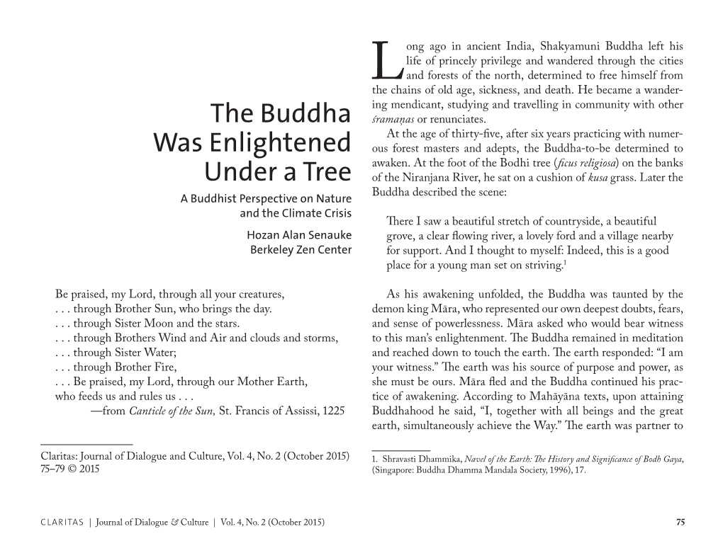 The Buddha Was Enlightened Under a Tree