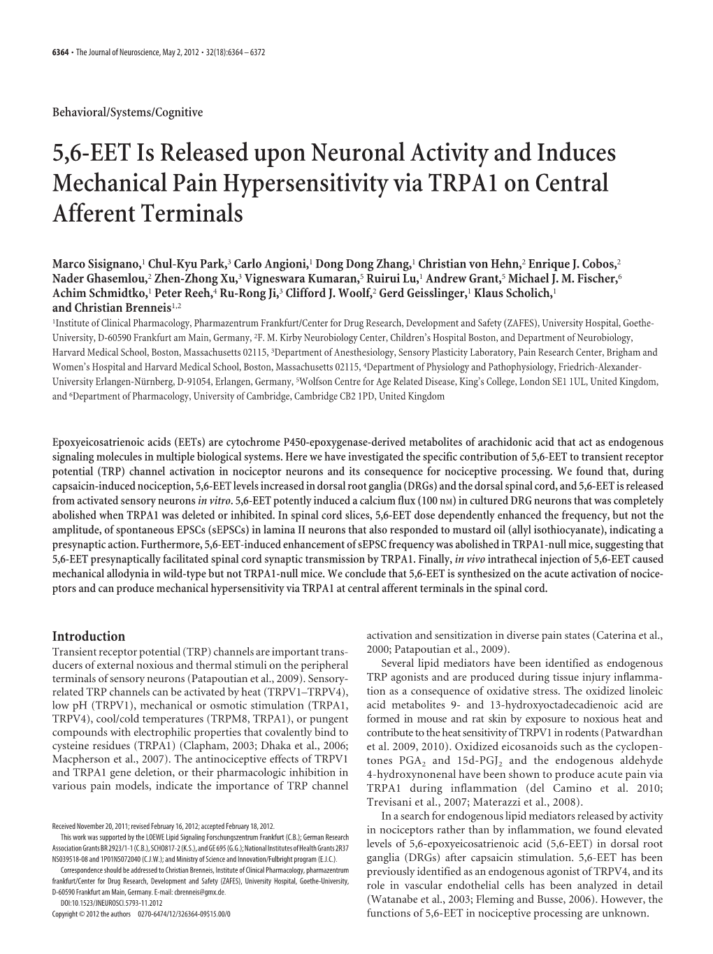 5,6-EET Is Released Upon Neuronal Activity and Induces Mechanical Pain Hypersensitivity Via TRPA1 on Central Afferent Terminals