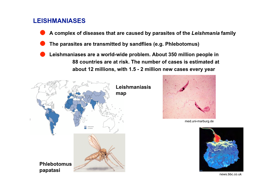 The Leishmania Life Cycle