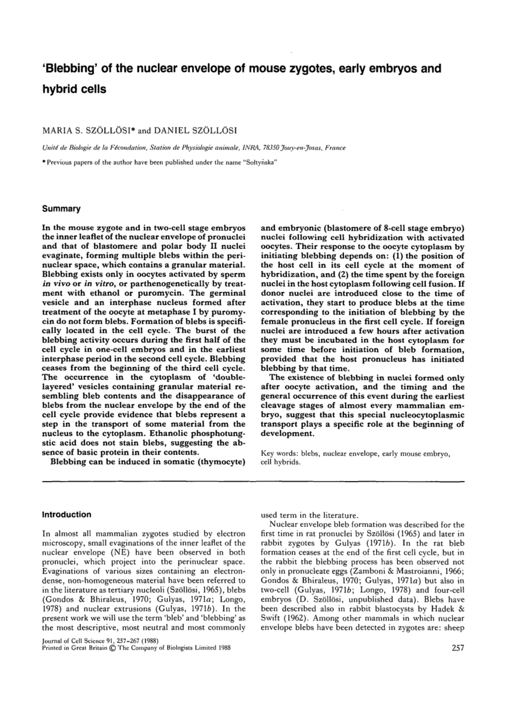 Blebbing' of the Nuclear Envelope of Mouse Zygotes, Early Embryos and Hybrid Cells