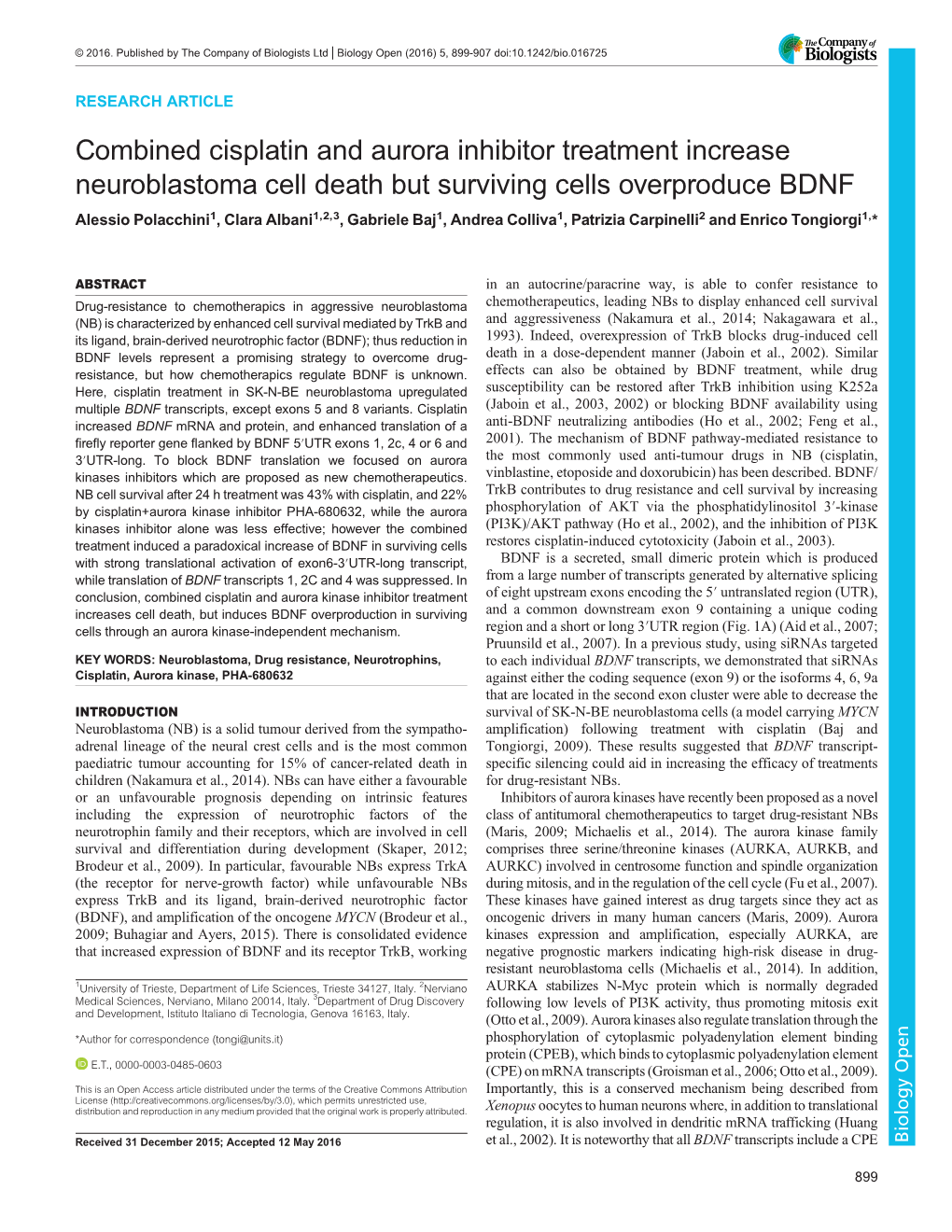 Combined Cisplatin and Aurora Inhibitor Treatment Increase