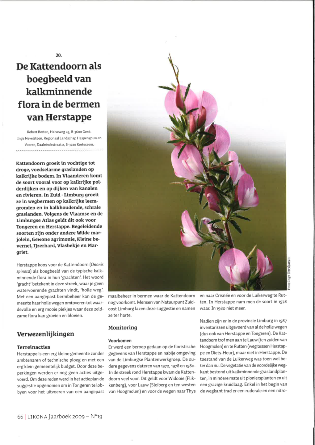 Kalkminnende Flora in De Bermen Van Herstappe