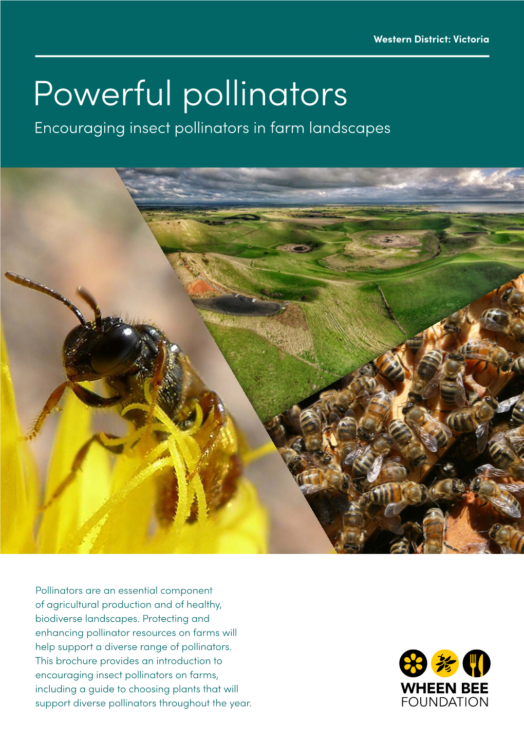 Powerful Pollinators Encouraging Insect Pollinators in Farm Landscapes