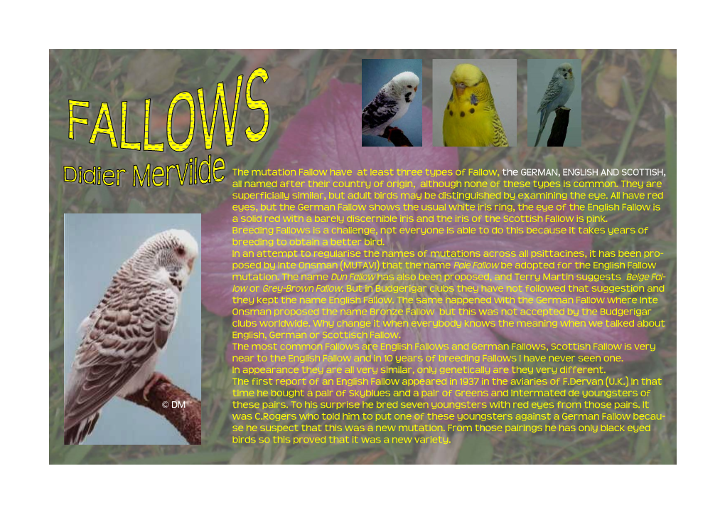 The Mutation Fallow Have at Least Three Types of Fallow, the GERMAN