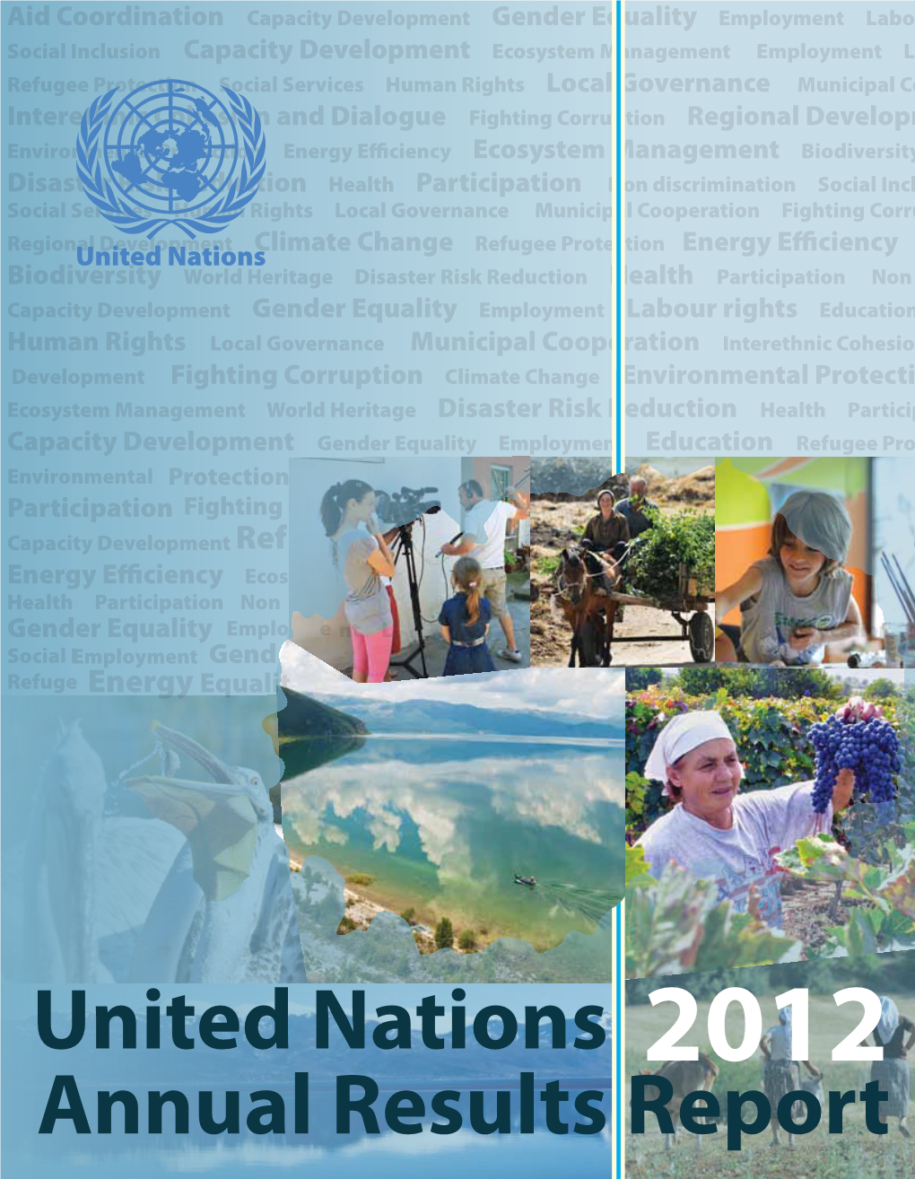 UN Annual Results Report 2012
