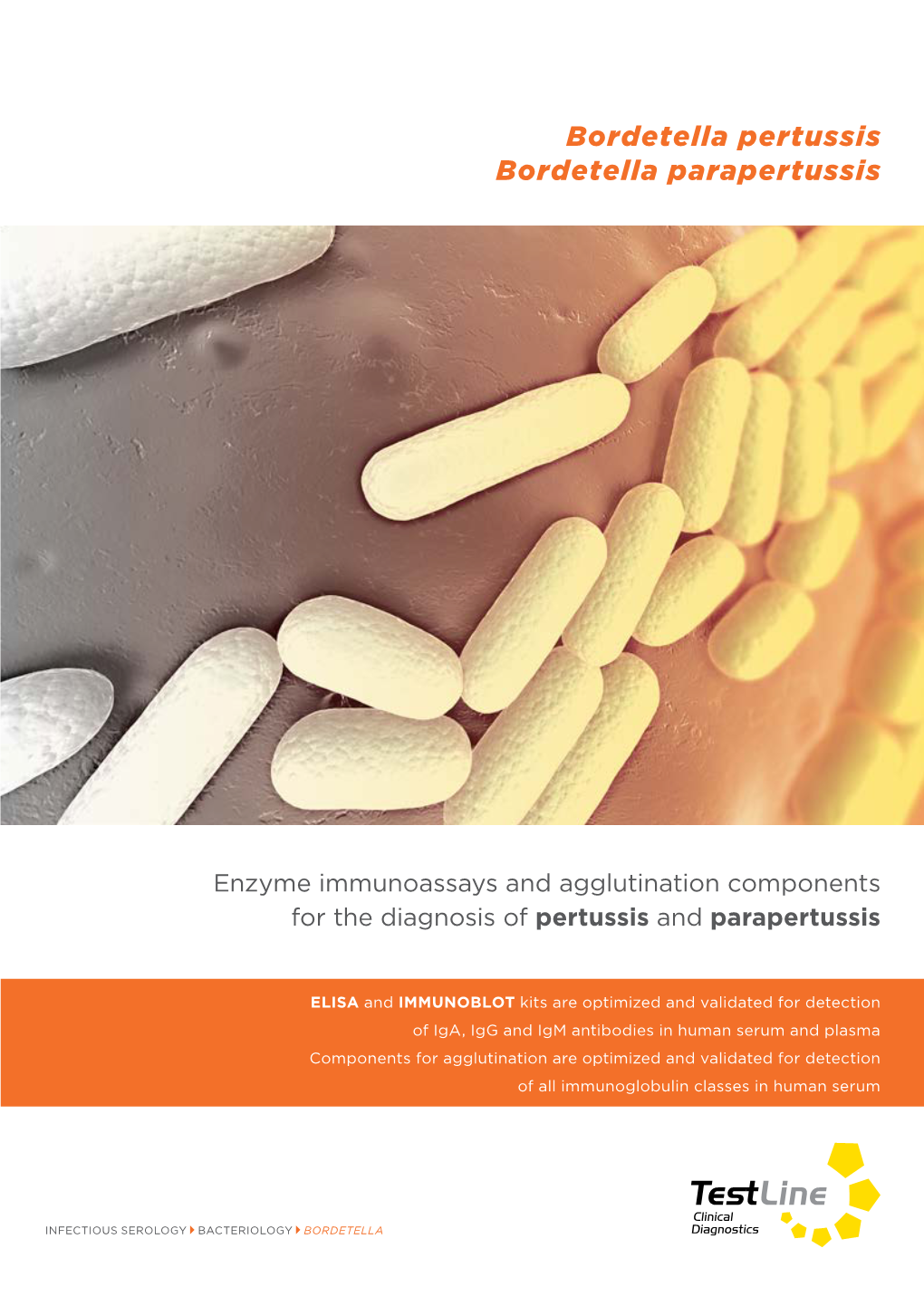 Bordetella Pertussis Bordetella Parapertussis