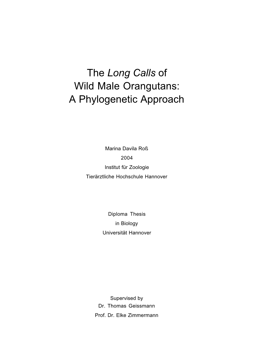 The Long Calls of Wild Male Orangutans: a Phylogenetic Approach