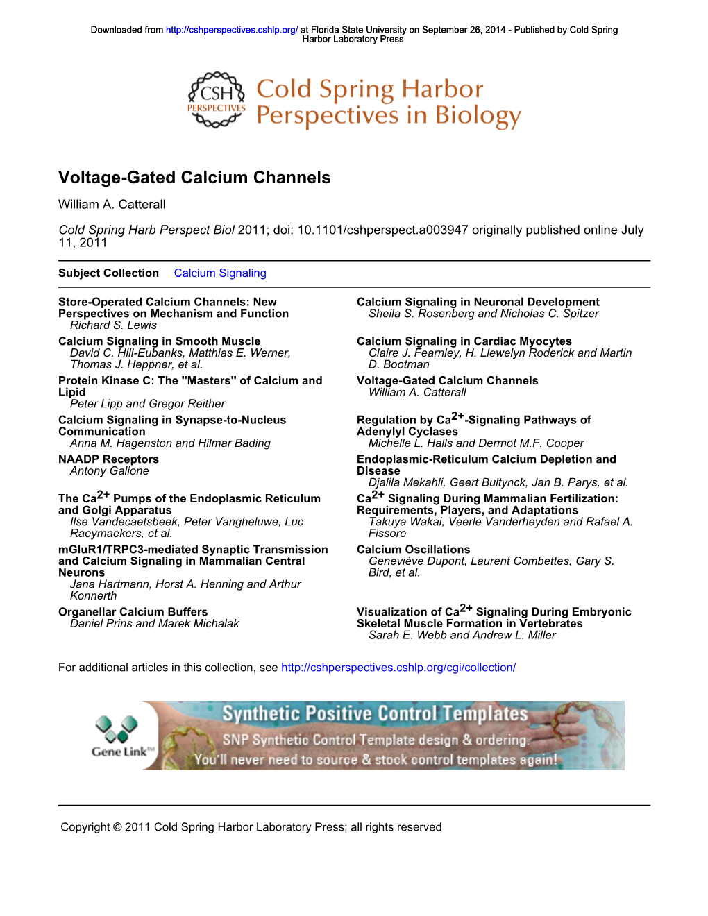 Voltage-Gated Calcium Channels