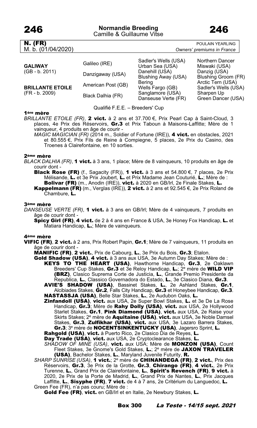 Tattersalls Catalogue Page