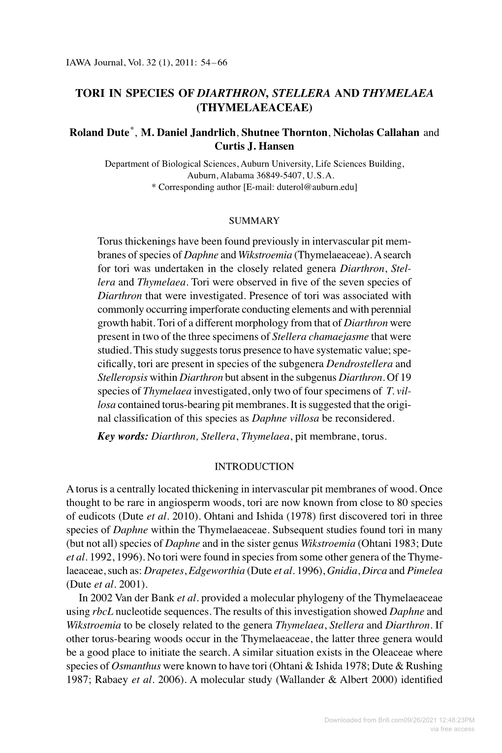 Tori in Species of Diarthron, Stellera and Thymelaea (Thymelaeaceae)