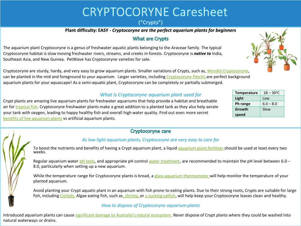 Cryptocoryne Aquarium Plant Care Sheet