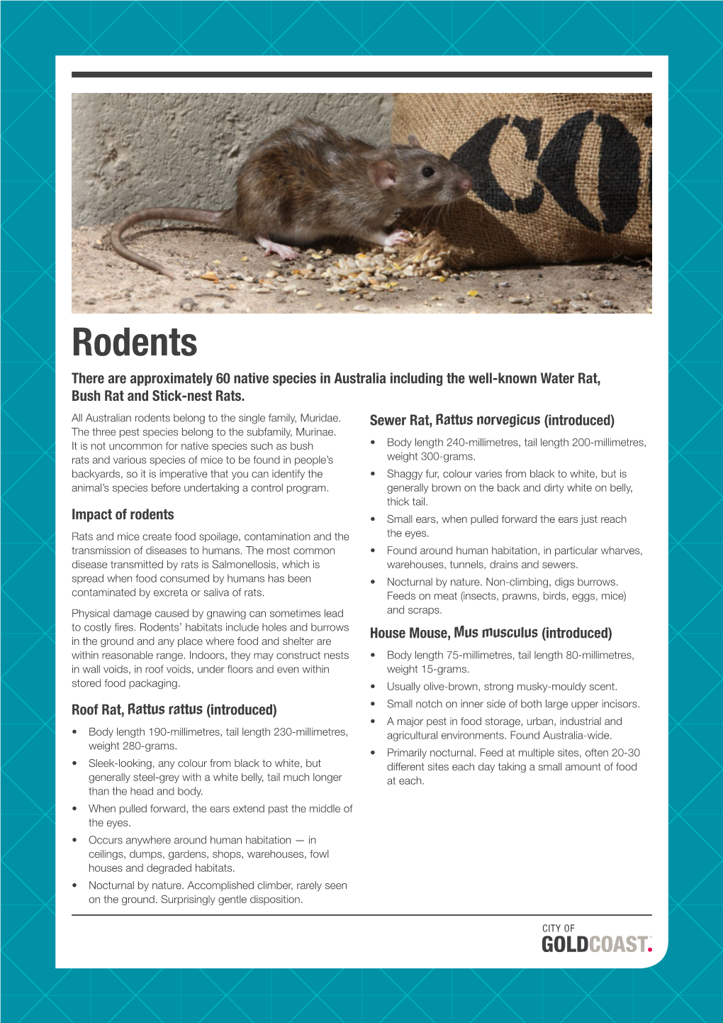 Rodents Fact Sheet