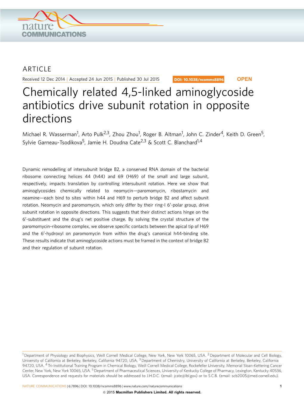 Chemically Related 4,5-Linked Aminoglycoside Antibiotics Drive Subunit Rotation in Opposite Directions