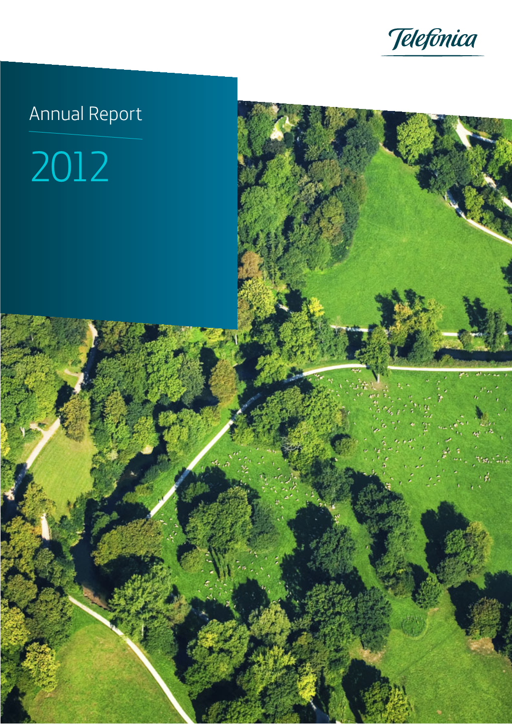 Annual Report 2012