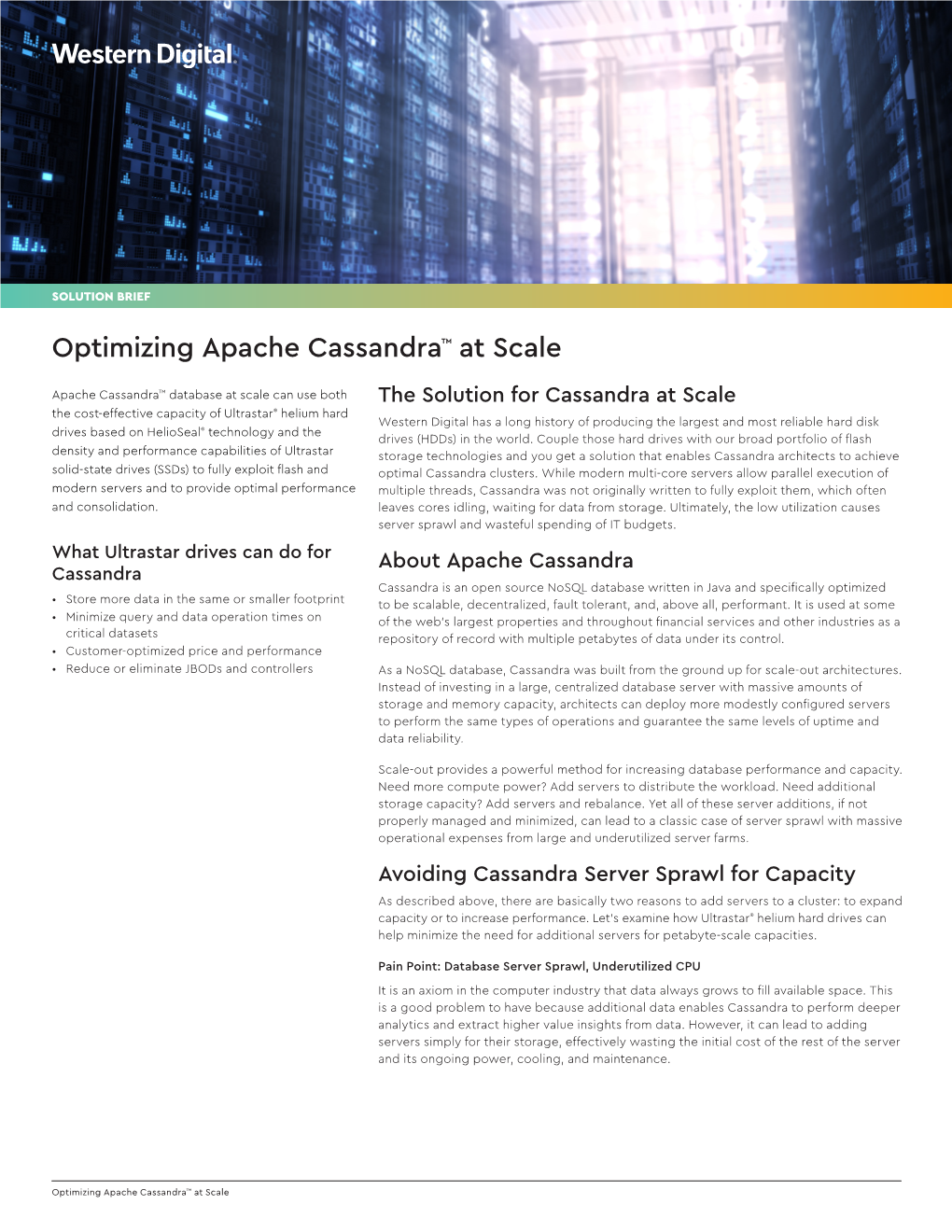Solution Brief: Optimizing Apache Cassandra Database at Scale