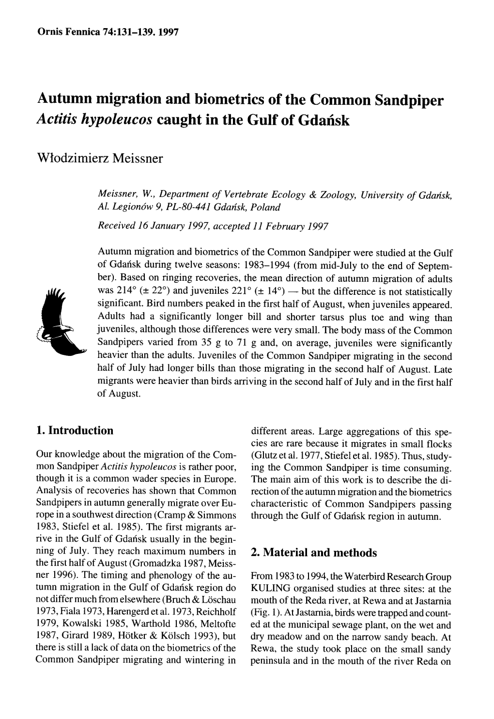 Autumn Migration and Biometrics of the Common Sandpiper Actitis Hypoleucos Caught in the Gulf of Gdansk