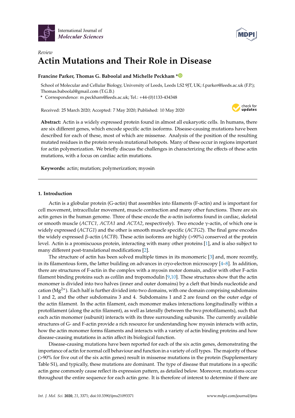 Actin Mutations and Their Role in Disease