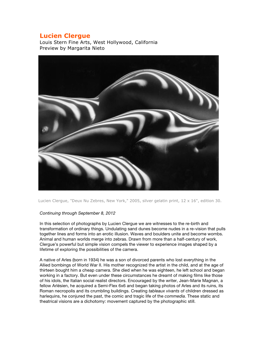 Visualartsource Review 2012