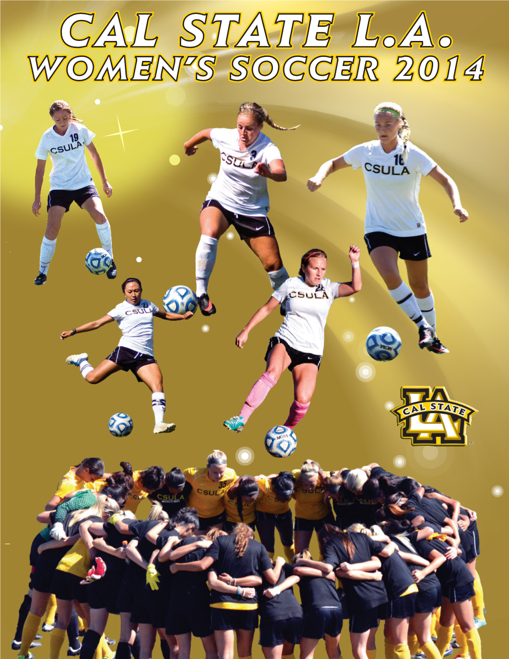 Women's Soccer 2014