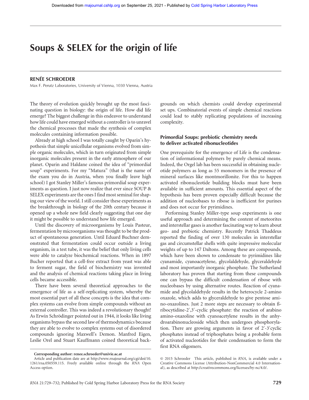 Soups & SELEX for the Origin of Life