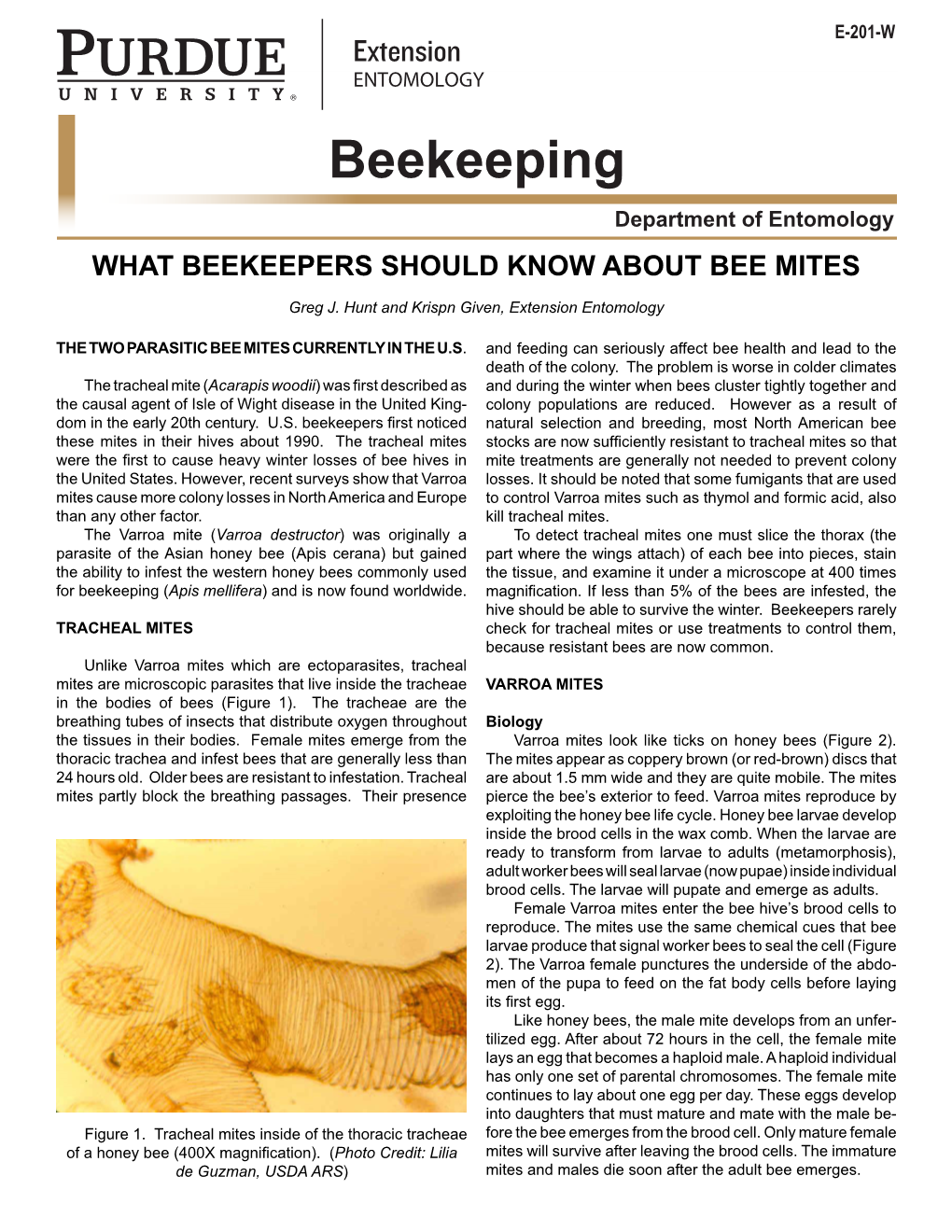 Beekeeping Department of Entomology WHAT BEEKEEPERS SHOULD KNOW ABOUT BEE MITES