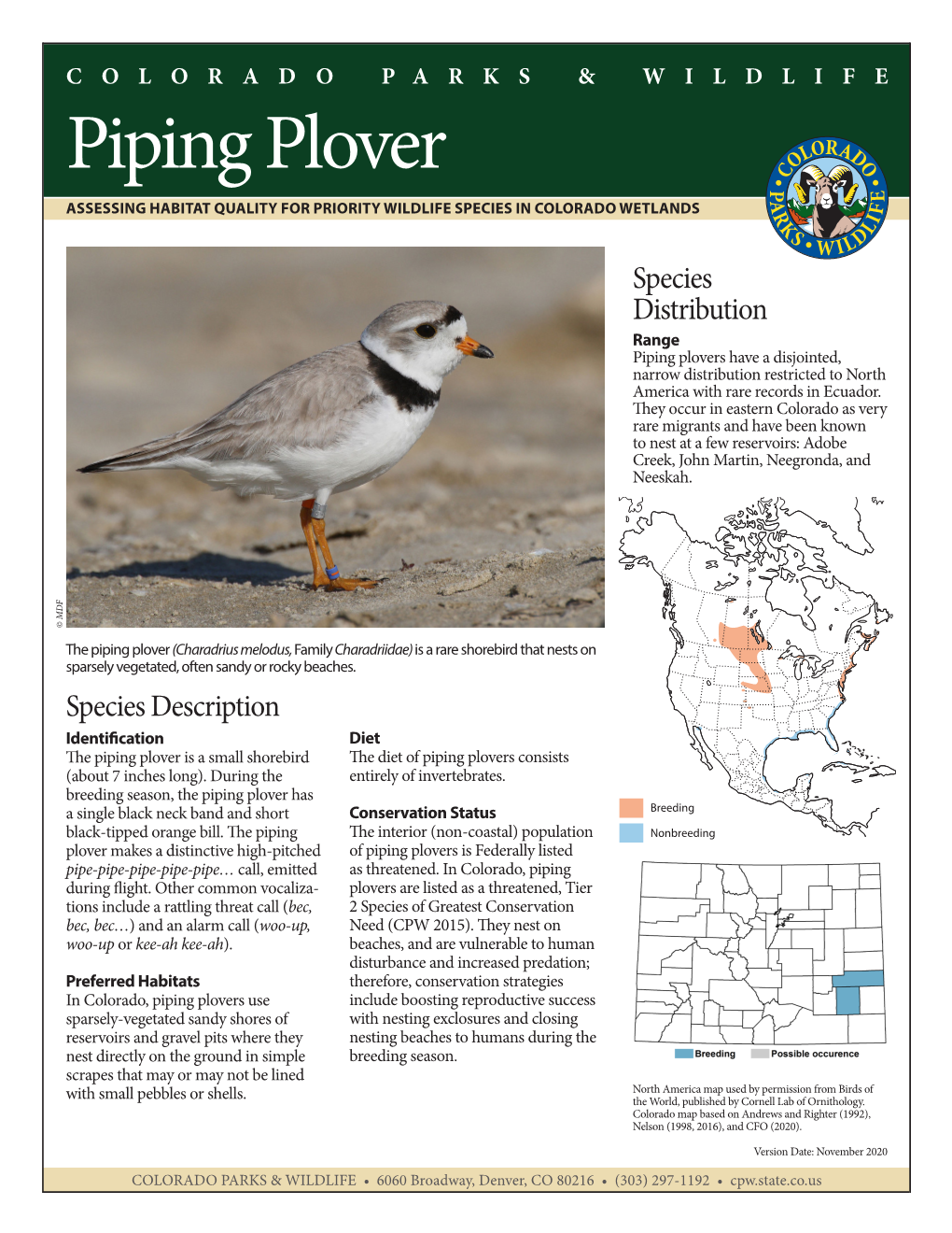 Piping Plover ASSESSING HABITAT QUALITY for PRIORITY WILDLIFE SPECIES in COLORADO WETLANDS