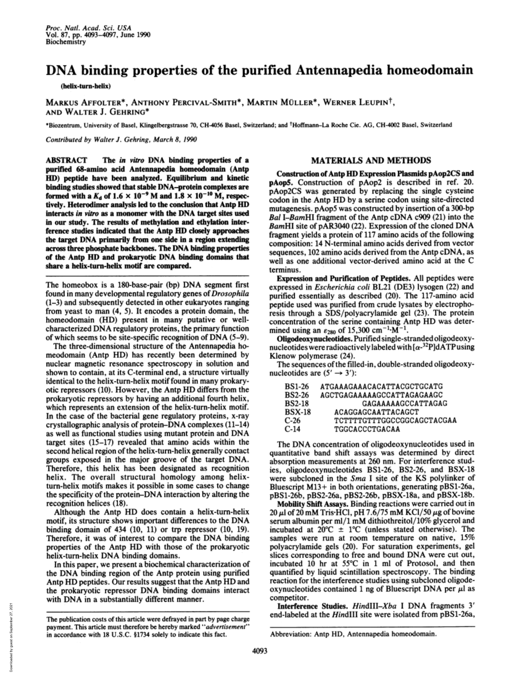 DNA Binding Properties of the Purified Antennapedia Homeodomain