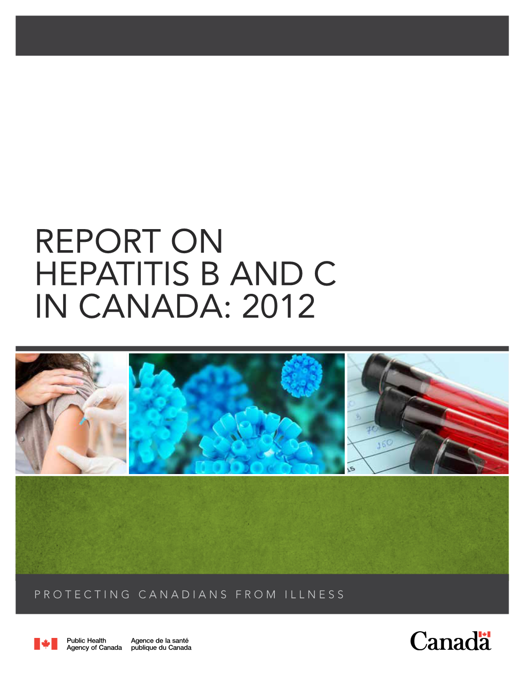 Report on Hepatitis B and C in Canada: 2012