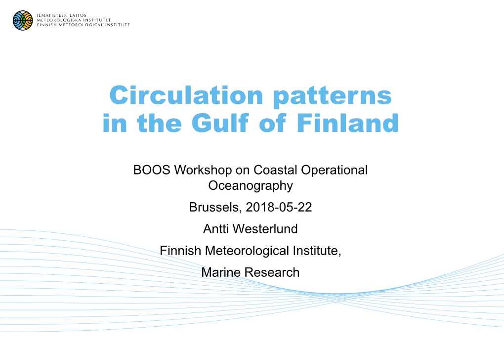 Circulation Dynamics in the Gulf of Finland