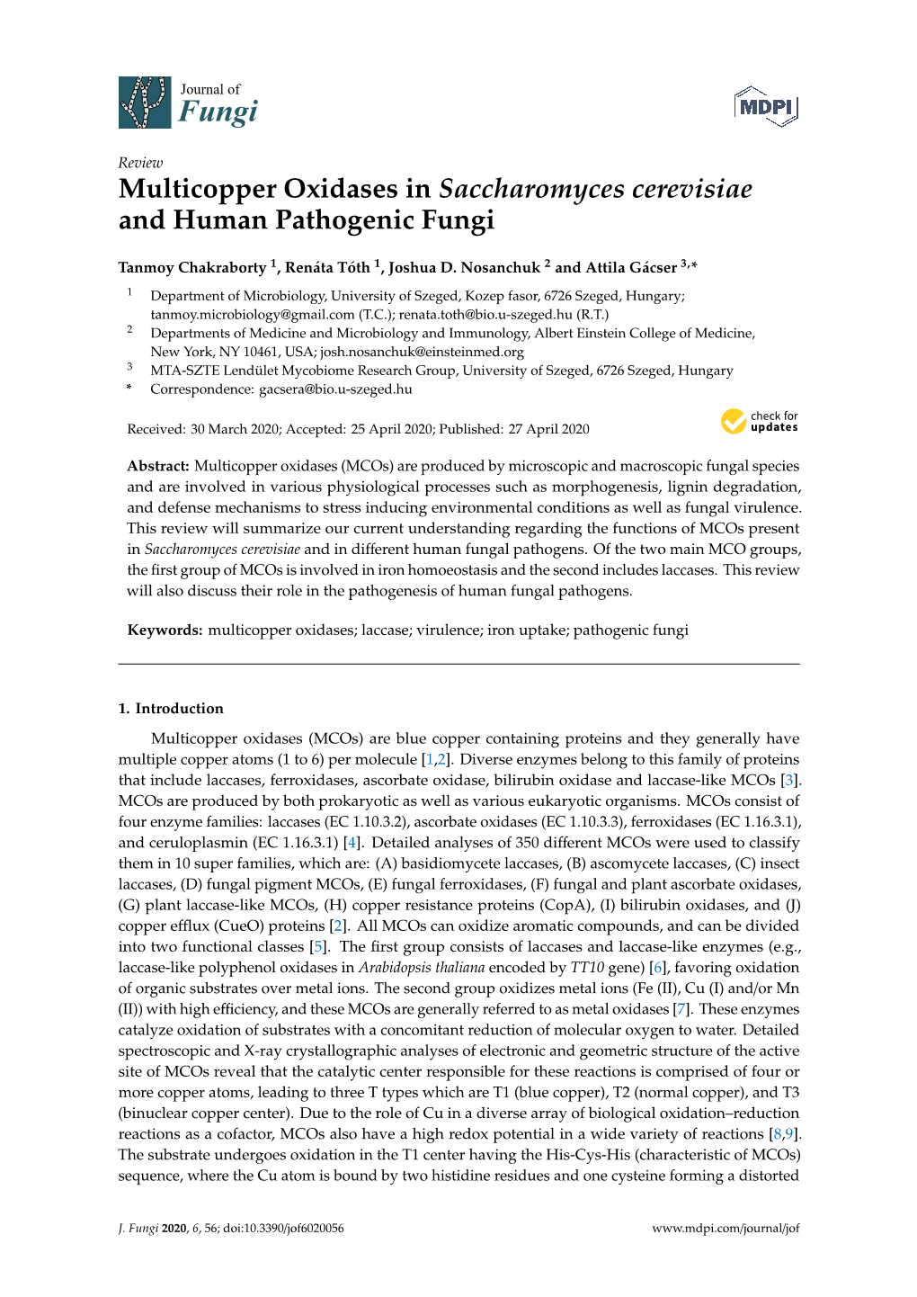 Multicopper Oxidases in Saccharomyces Cerevisiae and Human Pathogenic Fungi