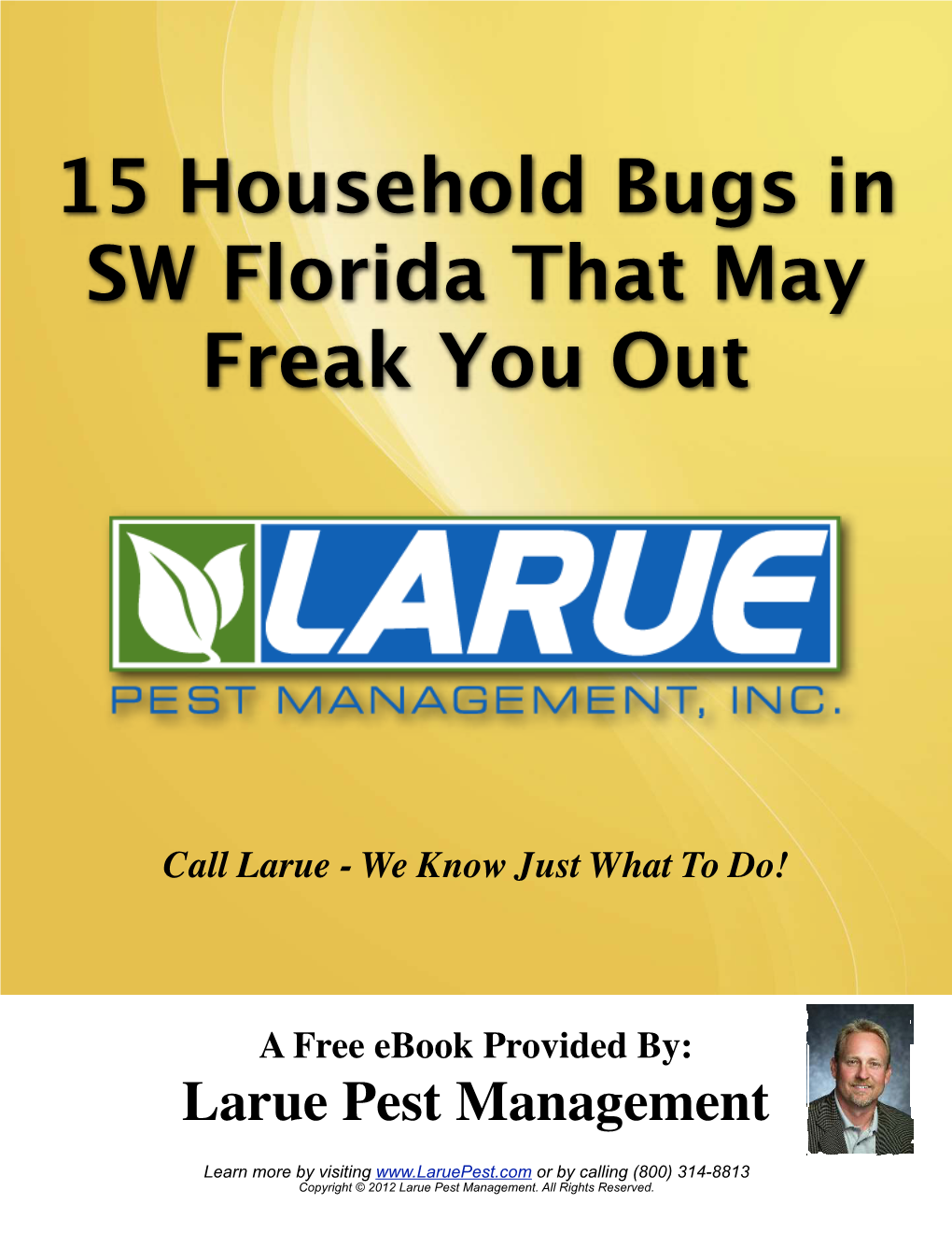 15 Household Bugs in Southwest Florida That May Freak You