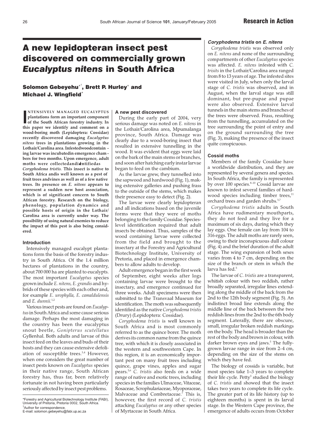 Gebeyehu Et Al. 2005 Cossid Moth