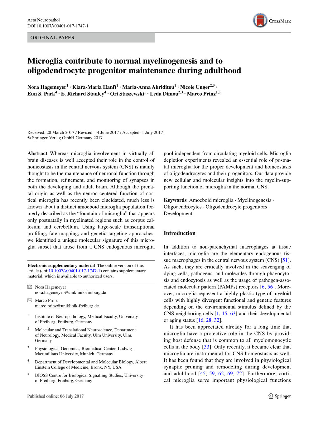 Microglia Contribute to Normal Myelinogenesis and to Oligodendrocyte Progenitor Maintenance During Adulthood