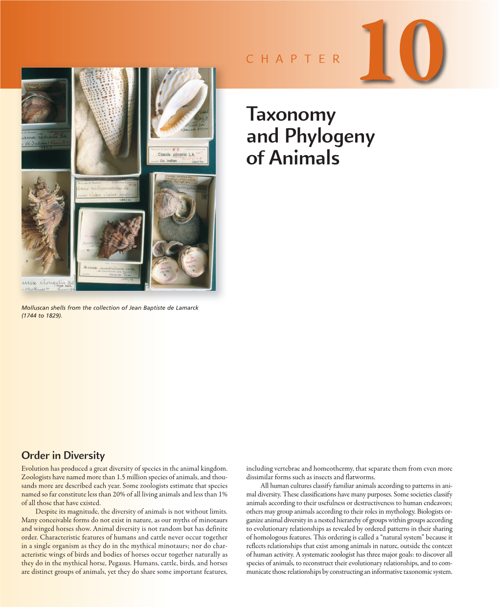 Taxonomy and Phylogeny of Animals