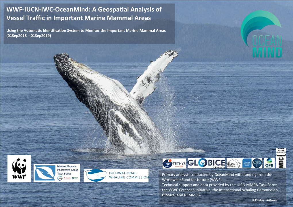 WWF-IUCN-IWC-Oceanmind: a Geospatial Analysis of Vessel