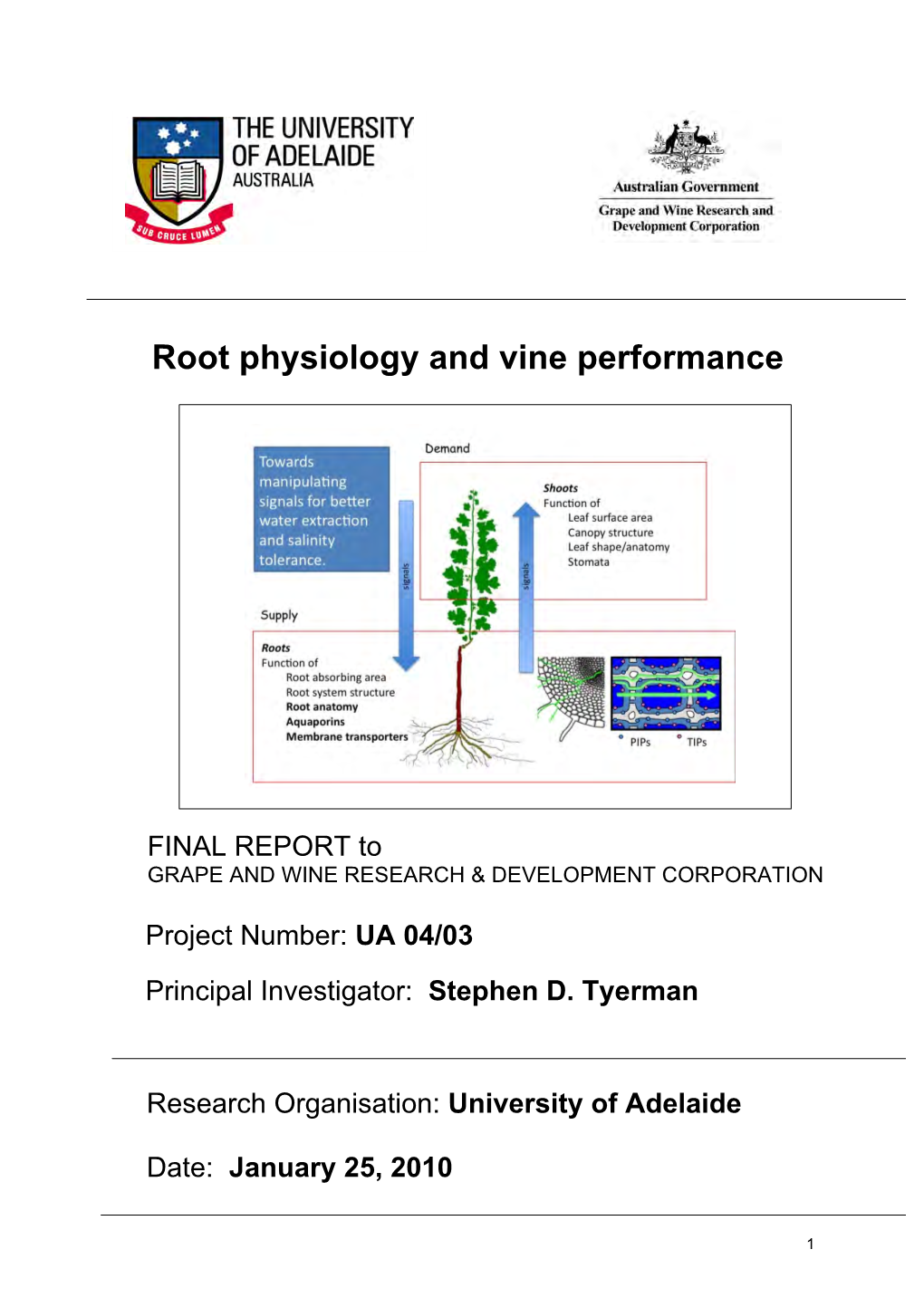 Root Physiology and Vine Performance