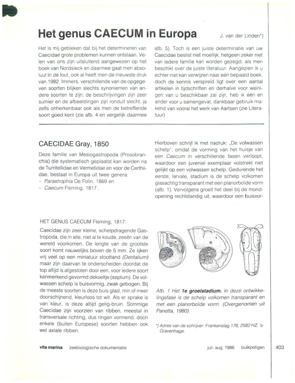 • Het Genus CAECUM in Europa J